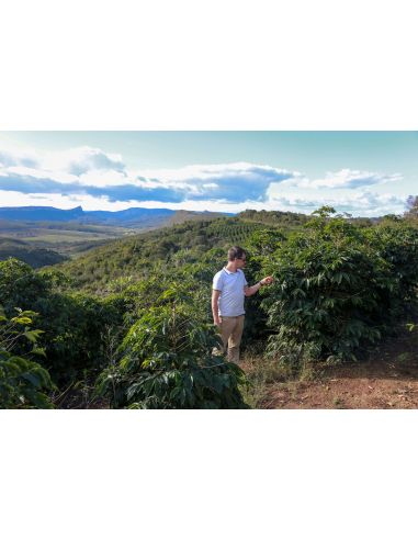 Caixa de Saúde e Vitalidade