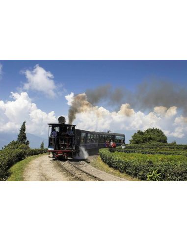 Acheter du thé noir darjeeling au meilleur prix