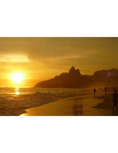 Chá de Ervas Carioca Silhouette