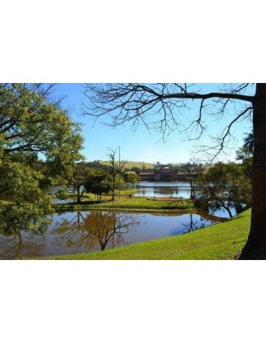 Chá de Ervas de Araxá