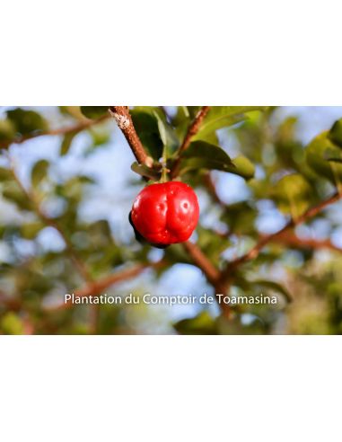 Kit  Brasileiro Fitness