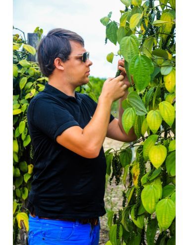 Arnaud in a pepper plantation