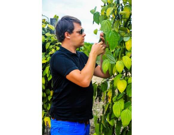 Arnaud dans une plantation de poivre