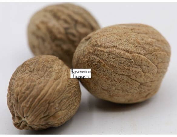 Qu'est-ce que la noix de coco ? - Blog du Comptoir de Toamasina