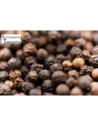 Poivre Noir de Sarawak en Grain et en vrac, poivre noir puissant, fruité et boisé