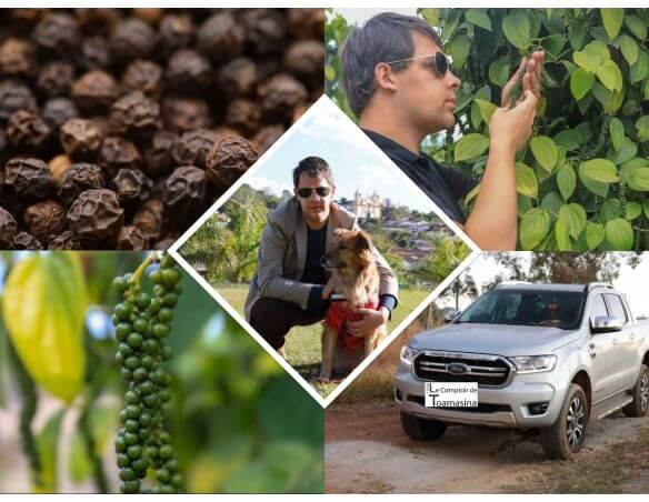 Pimenta Preta de Sarawak