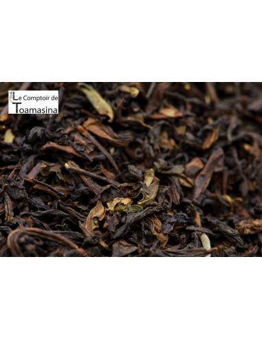 Black Tea Nepal Grand Cru - Golden Buds