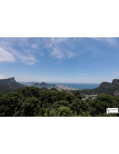 Tisane Silhouette Carioca