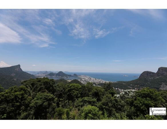 Tisane Silhouette Carioca