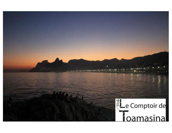 Caixa de 7 Chás Perfumados Brasileiros