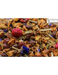 Tisane Jardin d'Araxa - Infusion de Fruits et Acérola