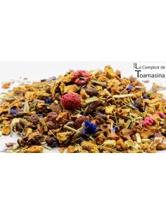 Tisane Jardin d'Araxa - Infusion de Fruits et Acérola 2