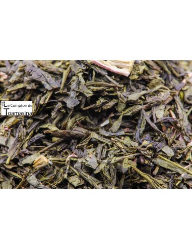 Thé Vert Rhubarbe Éclatante