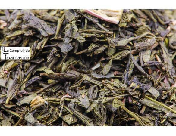 Thé Vert Rhubarbe Éclatante