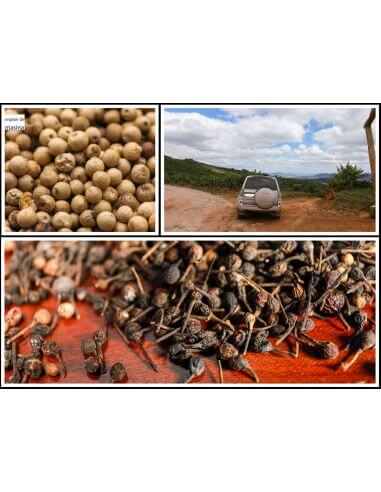 Caixa de Pimenta por Quilo