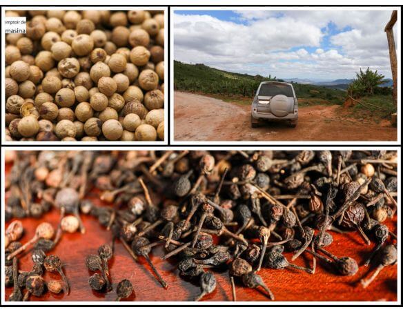 Caixa de Pimenta por Quilo