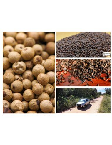 Caixa de Pimenta por Quilo