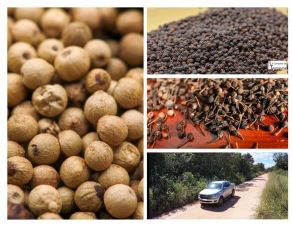 Caixa de Pimenta por Quilo