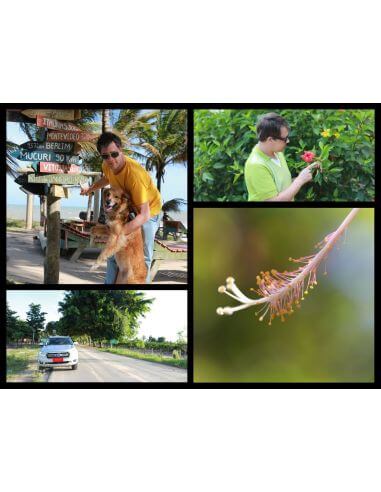 Caixa de especiarias de todo o mundo