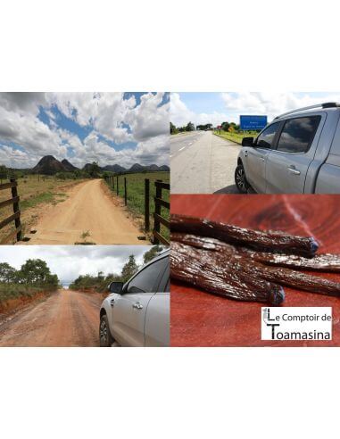 Caixa de especiarias de todo o mundo