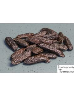 Favas de Tonka Quilo