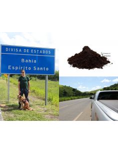 Açai en Poudre Pulpe Lyophilisé - 6kg - Export Brésil