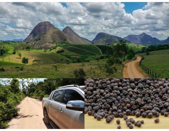 Black Pepper in Kilo