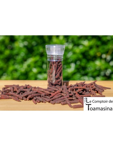 Pimenta Longa Vermelha Camboja