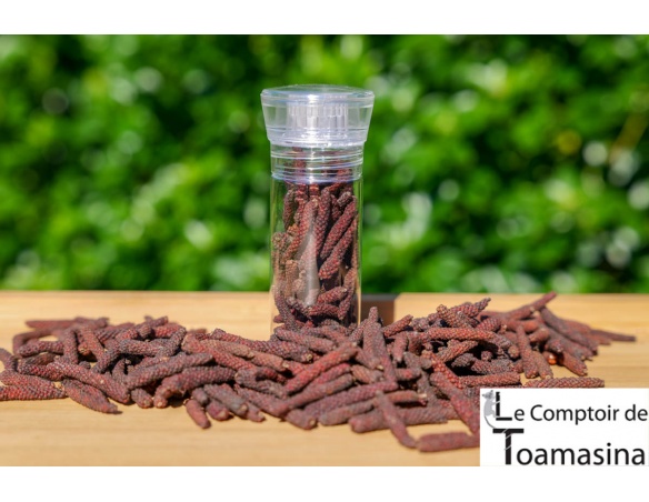 Pimenta Longa Vermelha Camboja