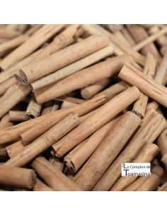 Cannelle de Madagascar (Bâton ou Poudre)
