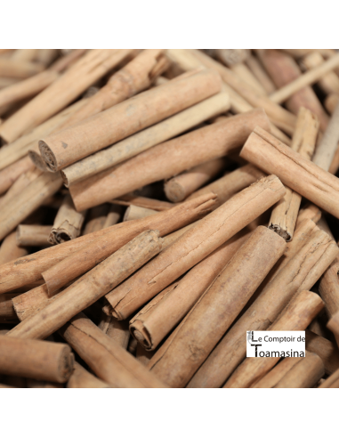 Cinnamon sticks Madagascar