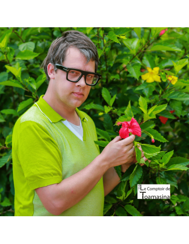 Flores De Hibisco (Carcadé)