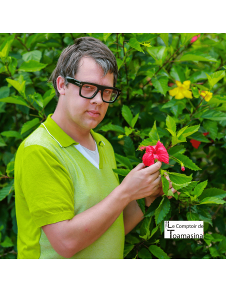 Hibiscus Flowers (Carcadé)