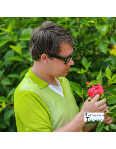 Arnaud dans une plantation d'hibiscus