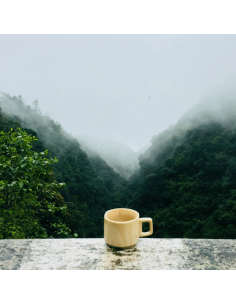 Chá Verde Japonês Genmaicha 2