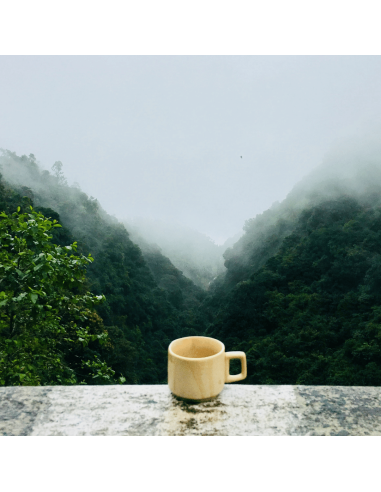 Chá Verde Japonês Genmaicha
