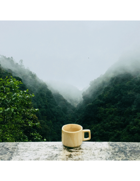 Chá Verde Japonês Genmaicha