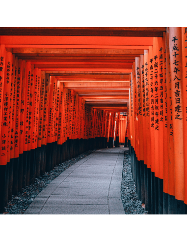Chá Verde Japonês Genmaicha