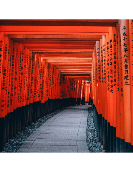 Chá Verde Japonês Genmaicha