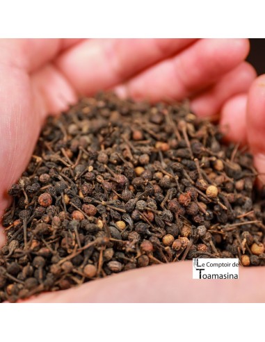 Wild Pepper Voatsiperifery at Kilo