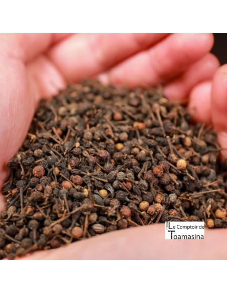 Wild Pepper Voatsiperifery at Kilo