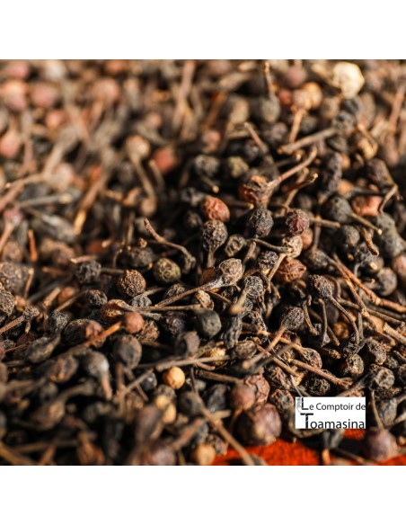 Wild Pepper Voatsiperifery at Kilo