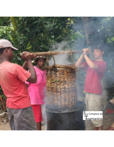 20 Madagascar's Bourbon Vanilla Beans