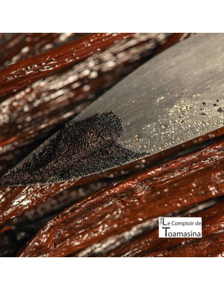 Madagascar Bourbon Vanilla Beans per kilo