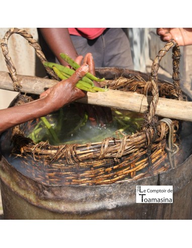 Madagascar Bourbon Vanilla Beans per kilo