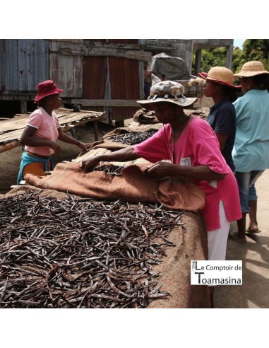 250g Fava de Baunilha Bourbon de Madagascar