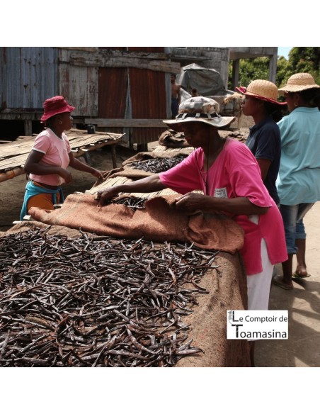 250g Fava de Baunilha Bourbon de Madagascar
