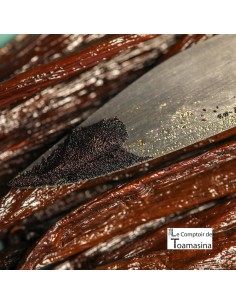 100 Madagascar's Bourbon Vanilla Beans 2
