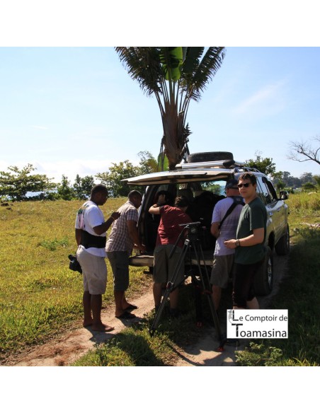 100 Favas de baunilha de Madagascar Extra Gourmet
