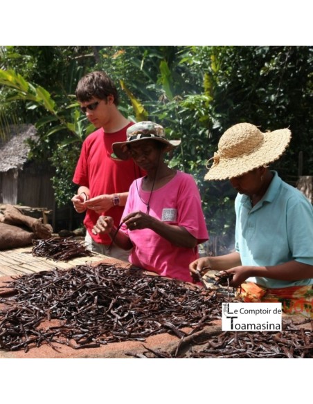 2 Madagascar's Bourbon Vanilla Beans